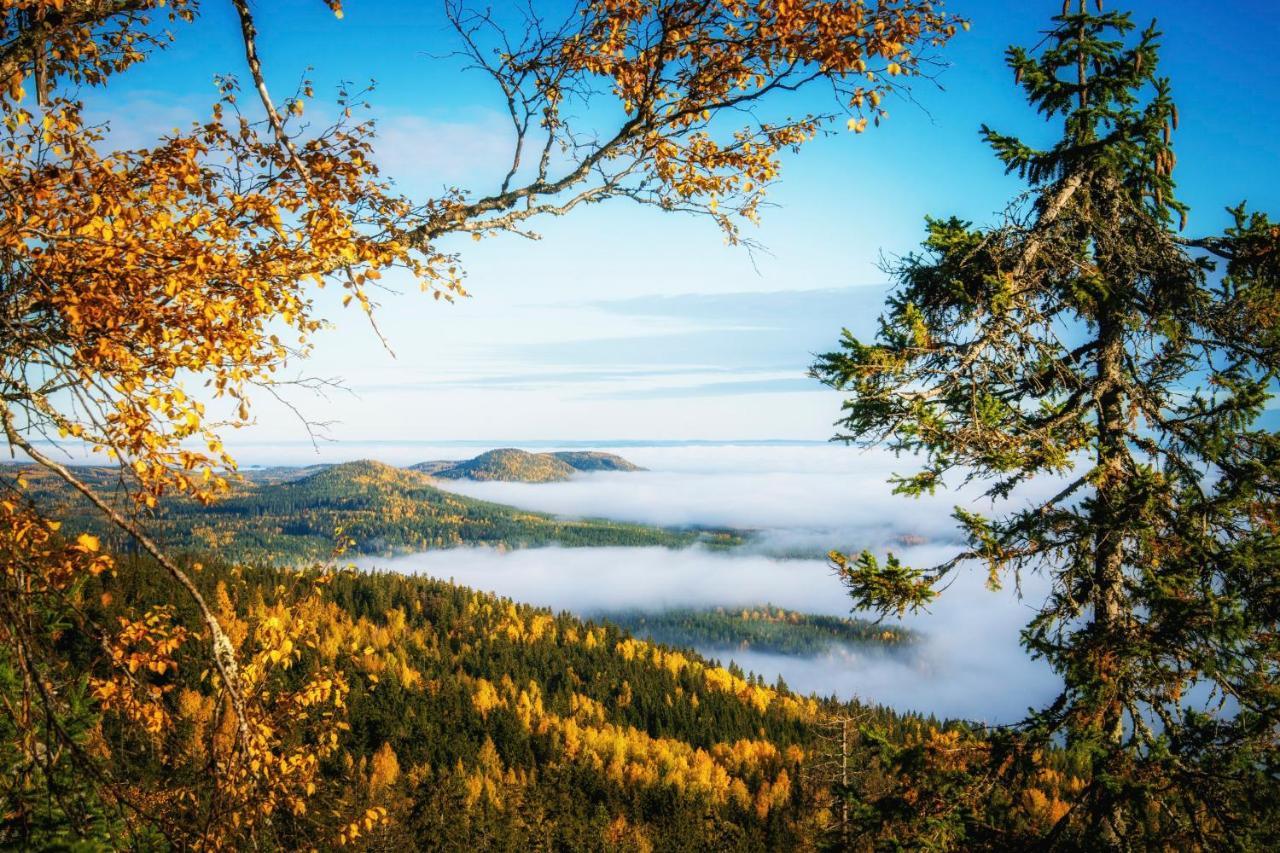 Break Sokos Hotel Koli Kolinkylä Eksteriør billede